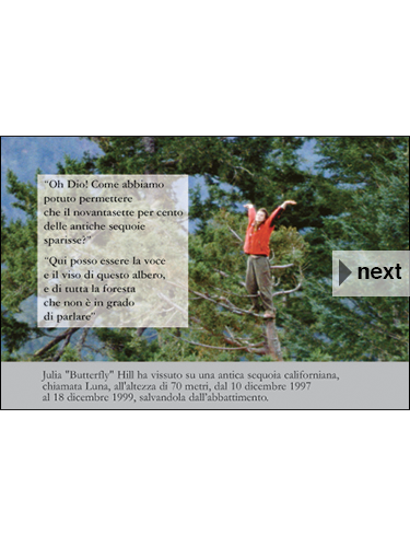 slide 15